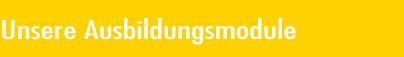 Unsere Ausbildungmodule, Fahrschule Oberndorf